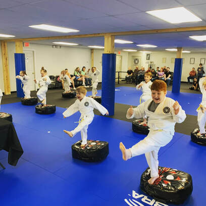 Kids Taekwondo Program